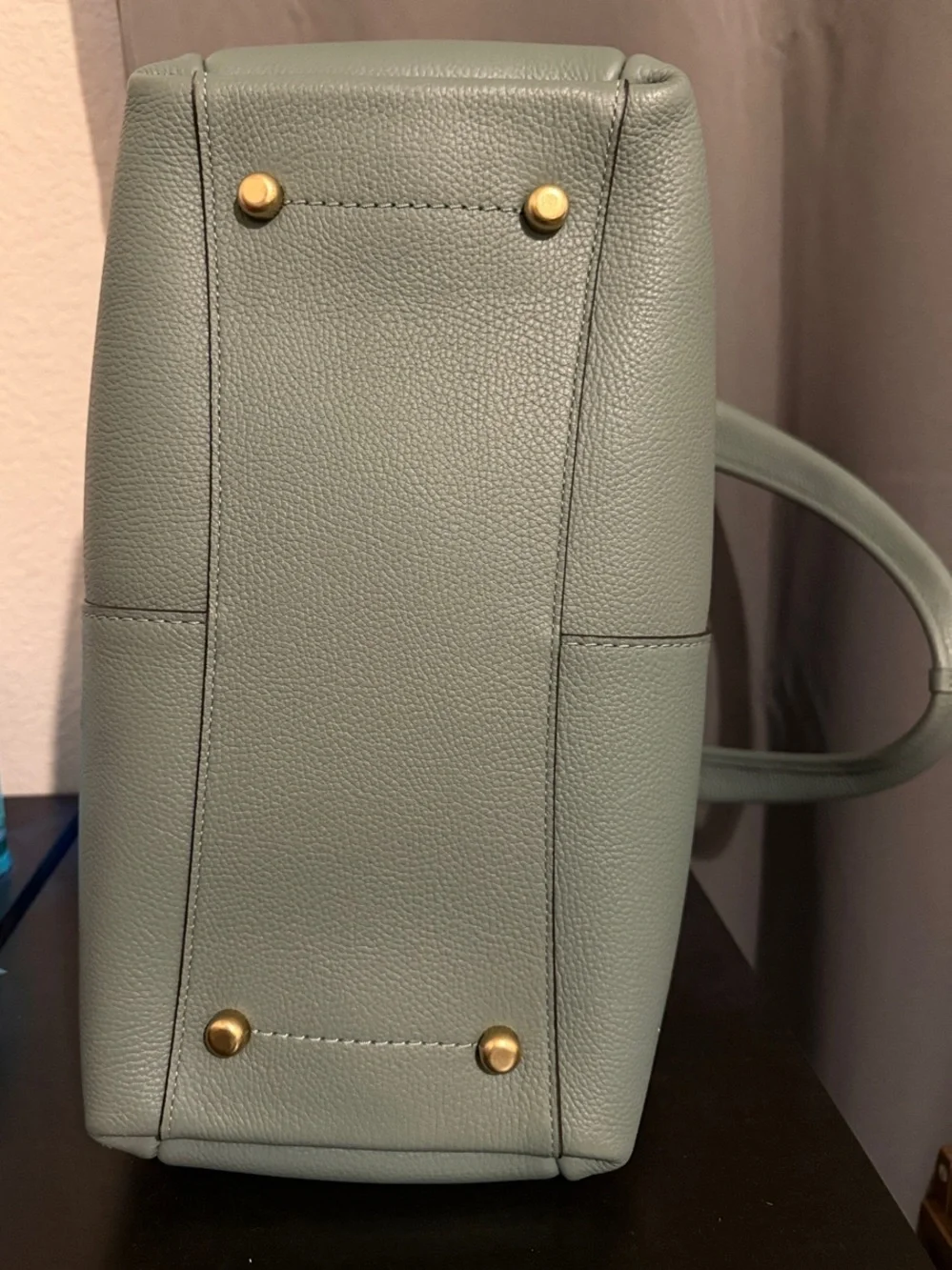 Coach Large Lana Bag in Sage